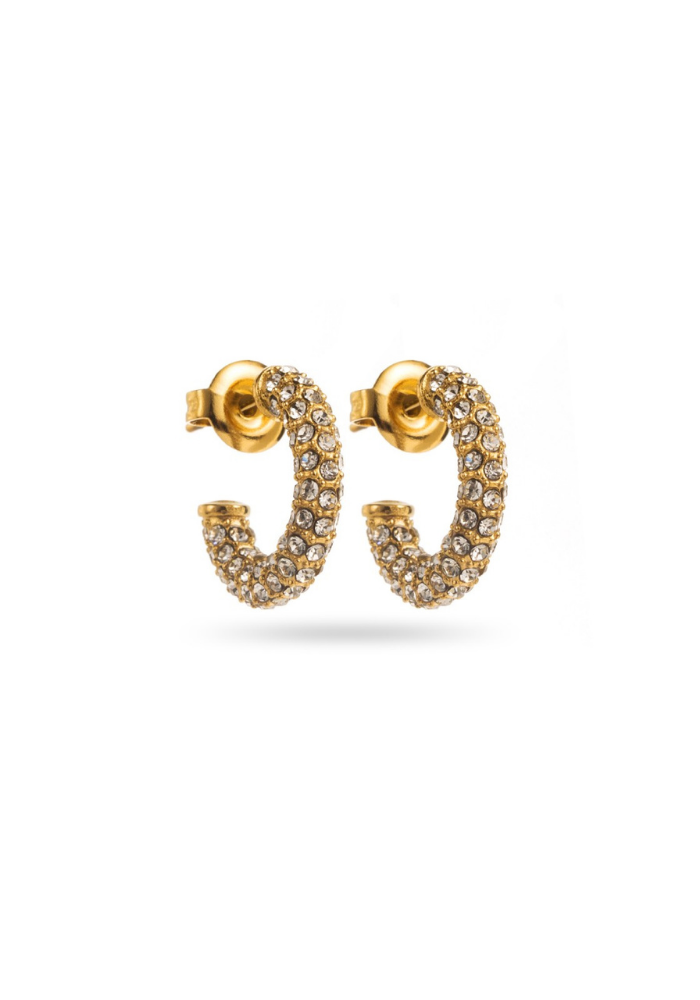 Boucles d'Oreilles Créoles Acier Inoxydable Strass