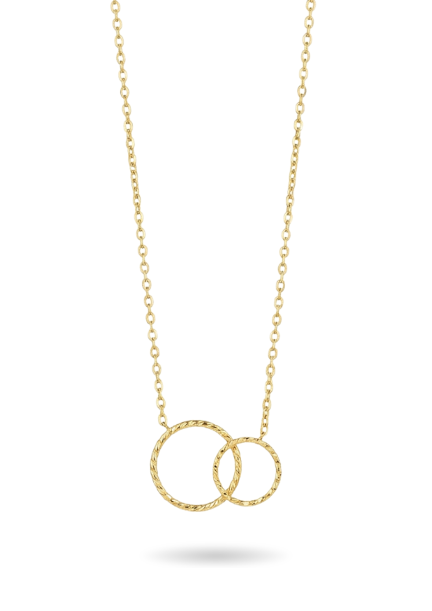 Collier Acier Inoxydable Double Anneau