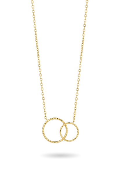 Collier Acier Inoxydable Double Anneau