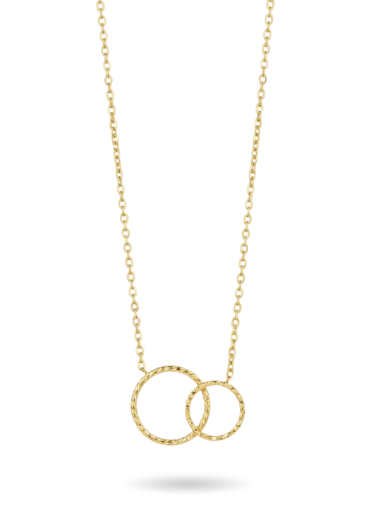 Collier Acier Inoxydable Double Anneau
