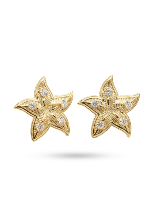 Boucles d'Oreilles Acier Inoxydable Étoile de Mer Zircon