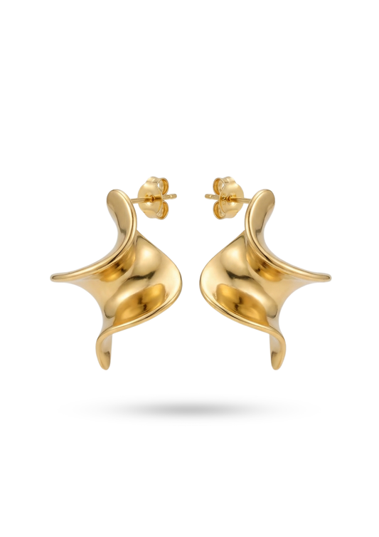 Boucles d'Oreilles Acier Inoxydable Tortillon