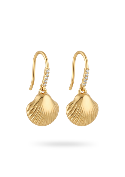 Boucles d'Oreilles Acier Inoxydable Pendantes Coquillage