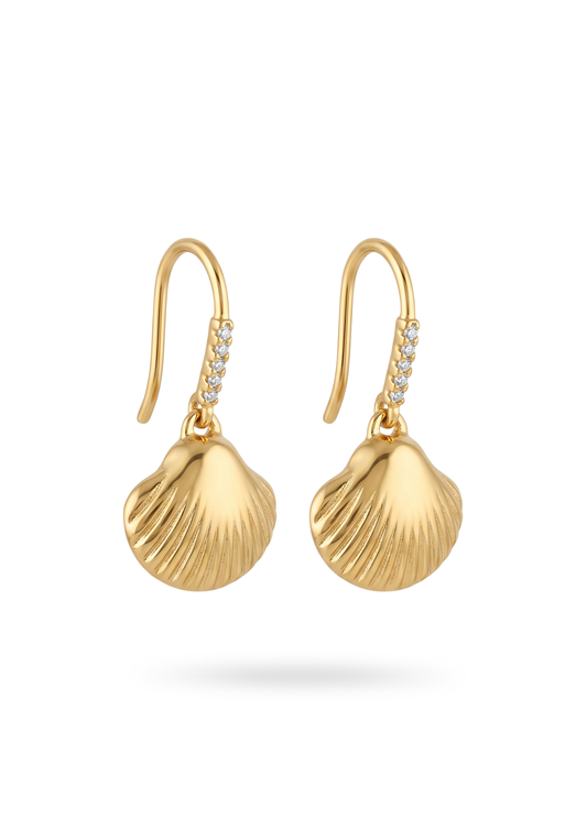 Boucles d'Oreilles Acier Inoxydable Pendantes Coquillage