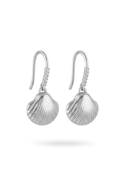 Boucles d'Oreilles Acier Inoxydable Pendantes Coquillage