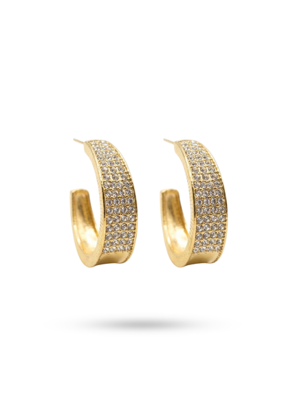 Boucles d'Oreilles Acier Inoxydable Demi Créoles Strass