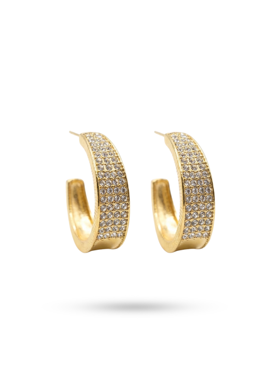 Boucles d'Oreilles Acier Inoxydable Demi Créoles Strass