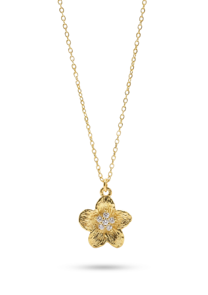Collier Acier Inoxydable Sandra