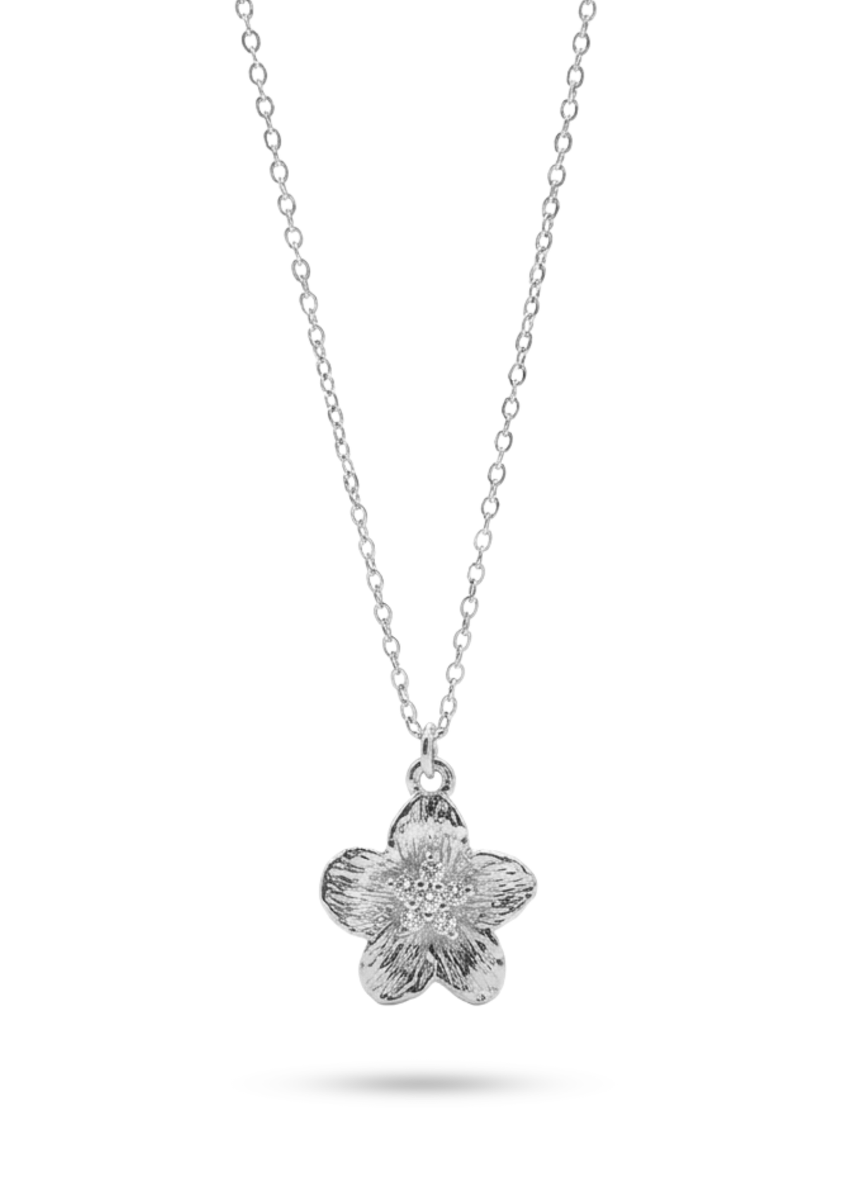 Collier Acier Inoxydable Sandra