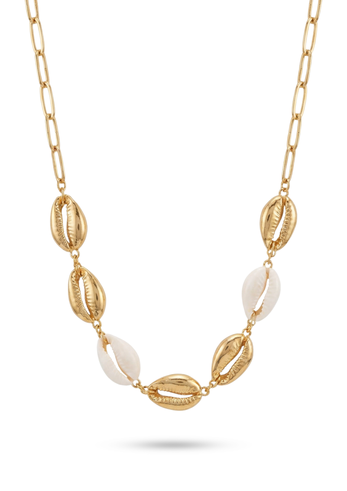 Collier Acier Inoxydable Cauri