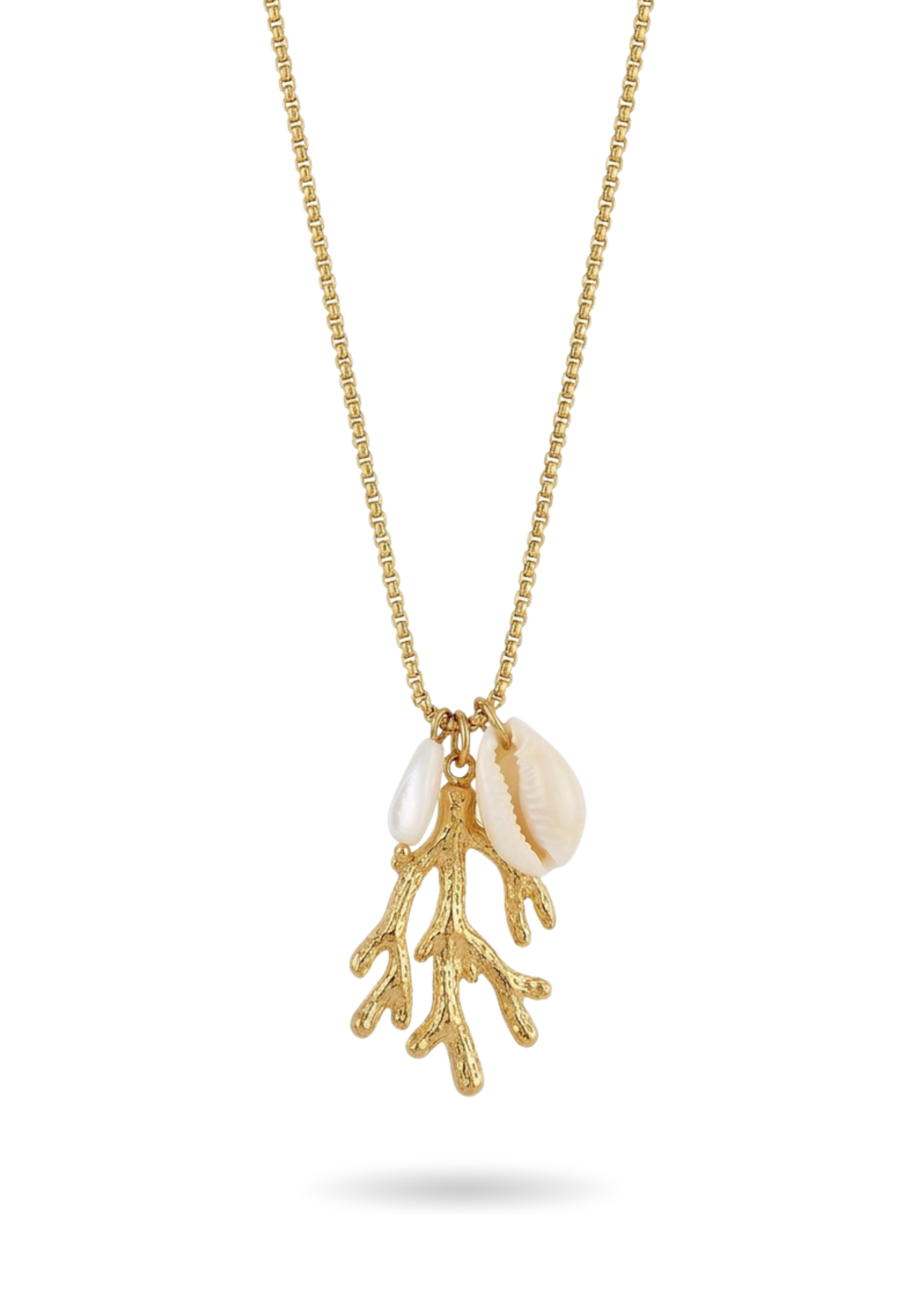 Collier Acier Inoxydable Corail Cauris