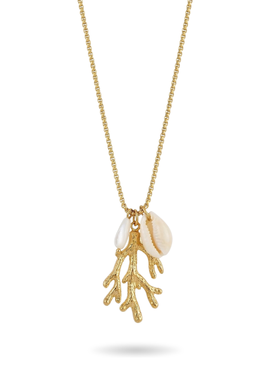 Collier Acier Inoxydable Corail Cauris