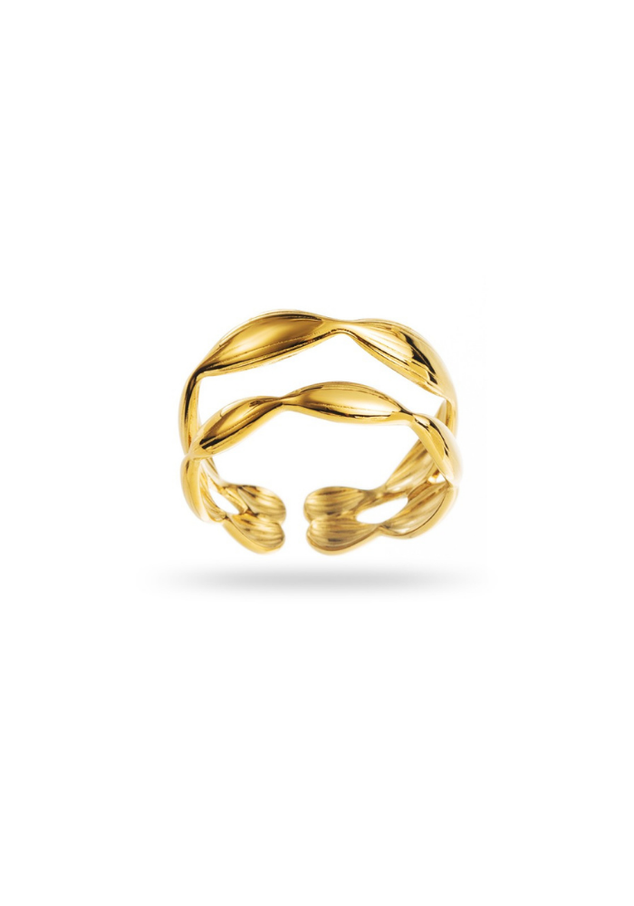 Bague Acier Inoxydable Double Rang