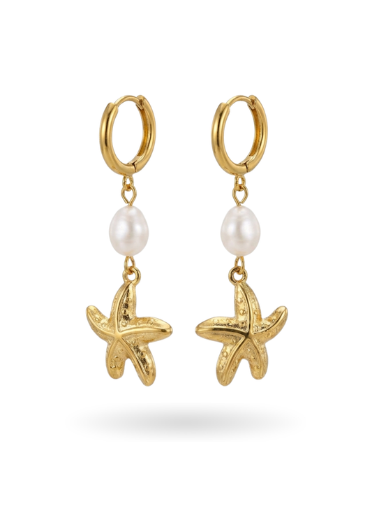 Boucles d'Oreilles Acier Inoxydable Pendante Étoile de Mer