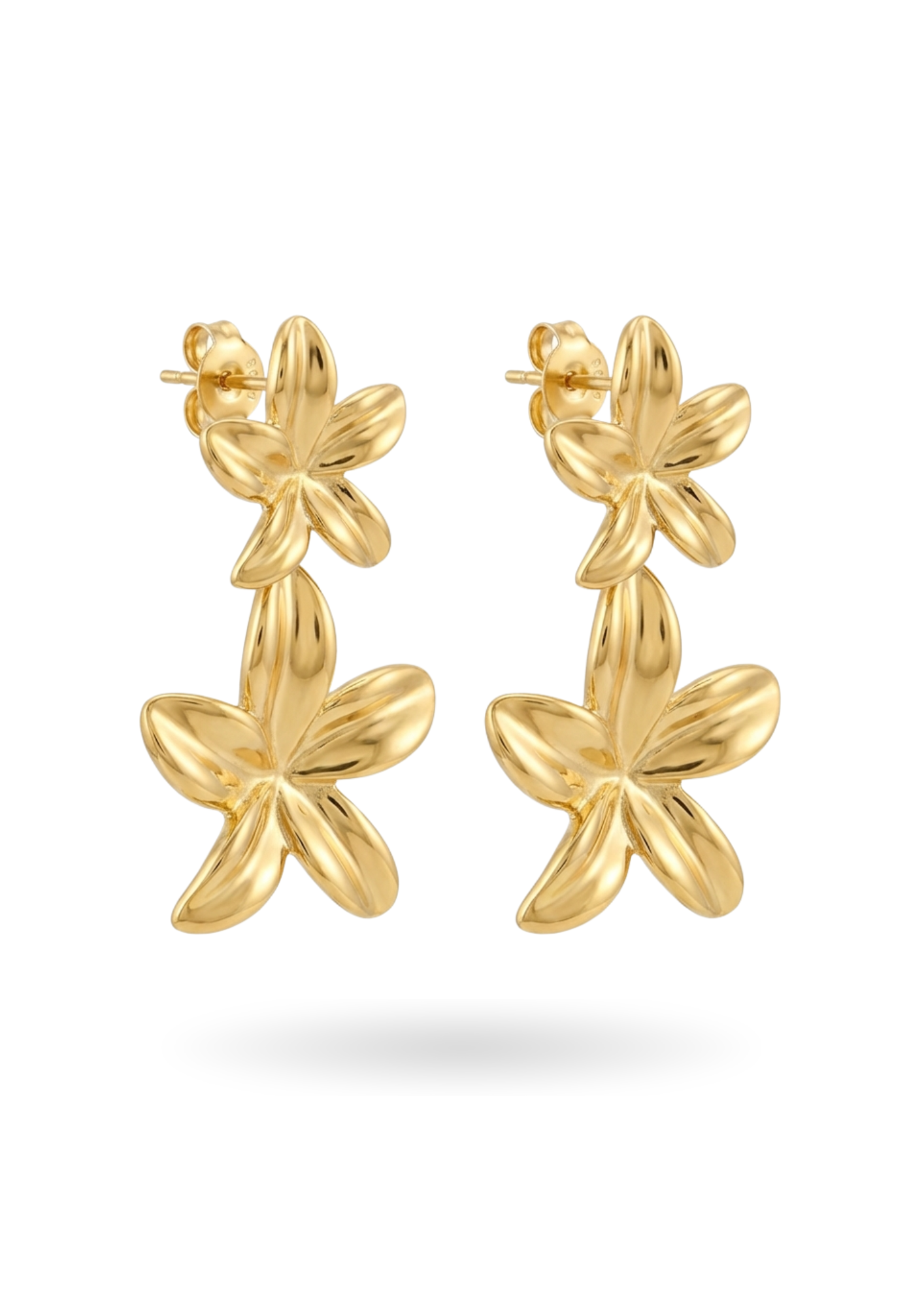 Boucles d'Oreilles Acier Inoxydable Double Fleur
