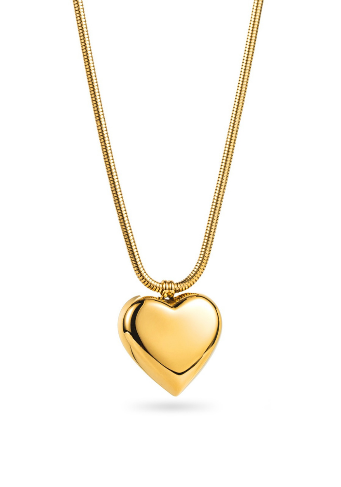 Collier Acier Inoxydable Cœur